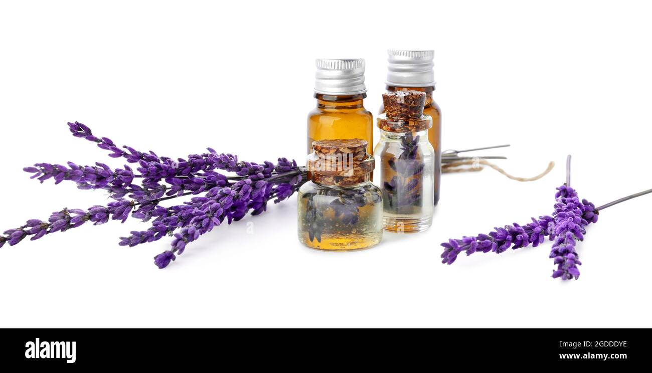Bottles of lavender essential oil and flowers on white background Stock ...