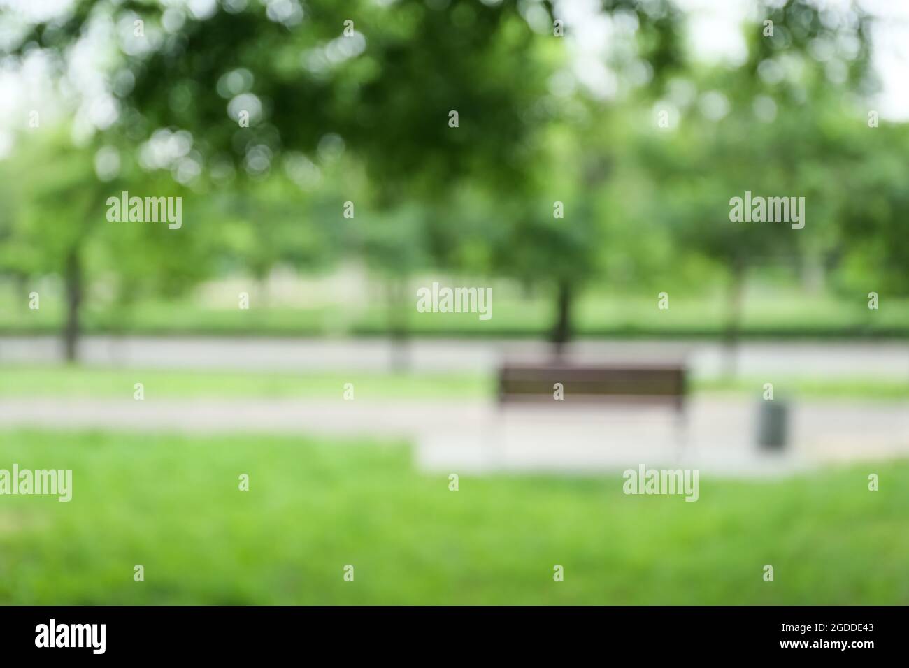 Blurred view of green park on summer day Stock Photo - Alamy