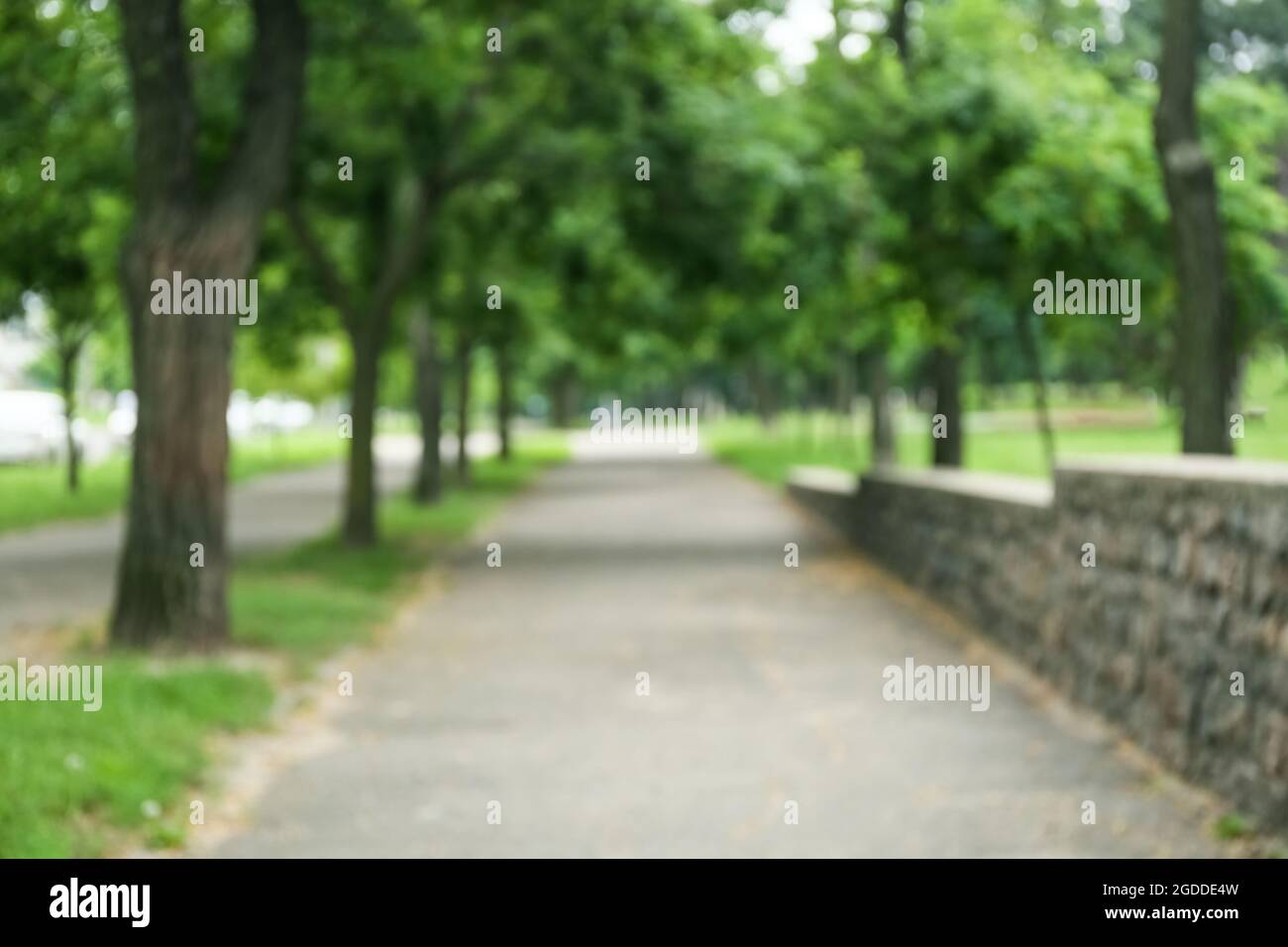 Blurred view of green park on summer day Stock Photo - Alamy