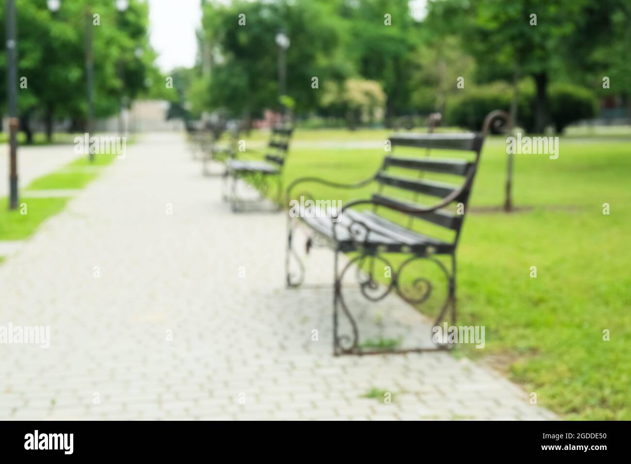 Blurred view of green park on summer day Stock Photo - Alamy