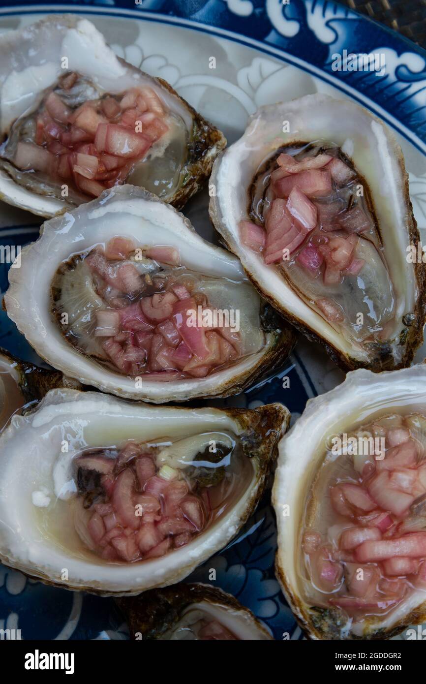 Oysters with a Mignonette sauce. Stock Photo