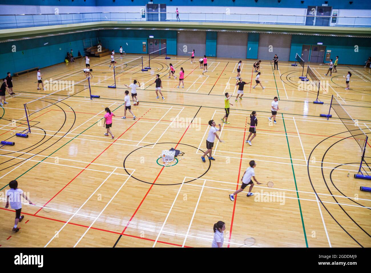 China Hong Kong HK Island Central,Hong Kong Park Sports Centre center,badminton courts indoor inside gymnasium gym Asian girls female,boys male studen Stock Photo