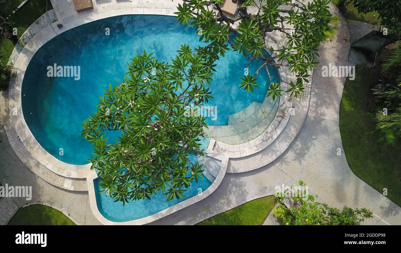 Aerial view of swimming pool in tropical garden in luxury hotel. The ...