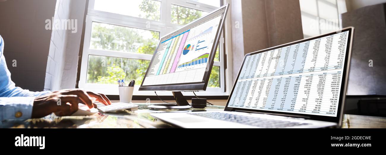 African American Office Employee Auditor Using Spreadsheet Stock Photo