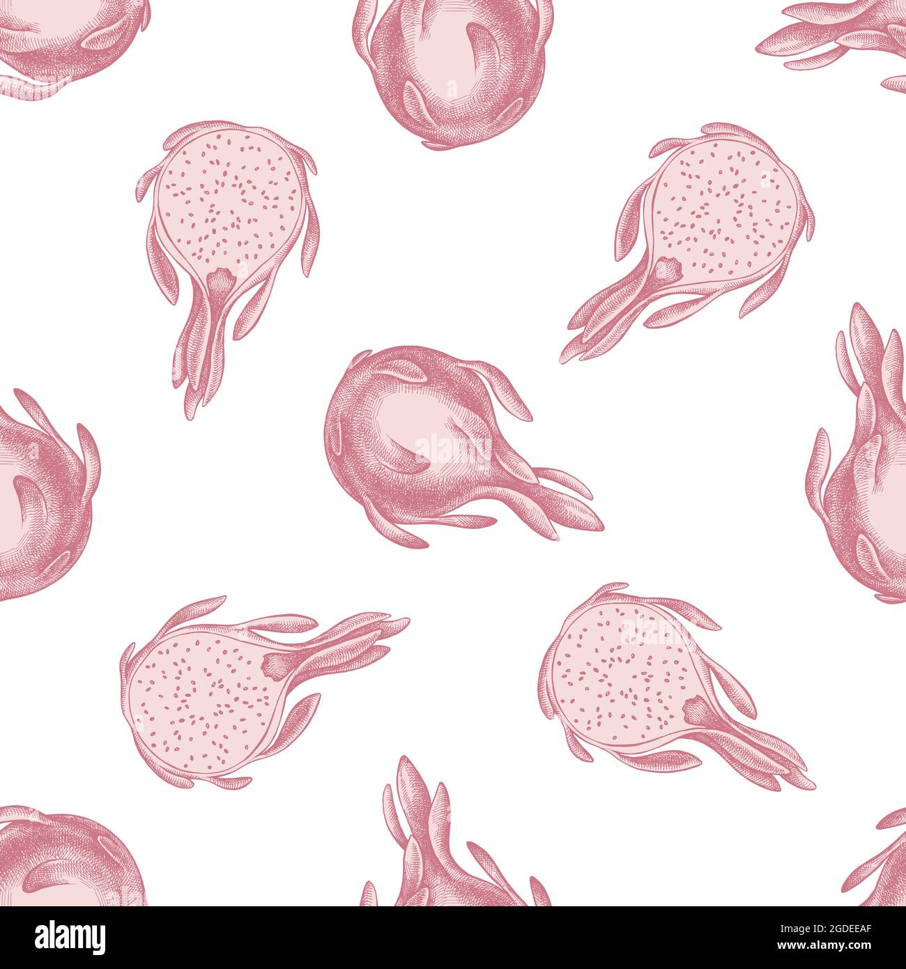 Seamless pattern with hand drawn pastel pitaya Stock Vector