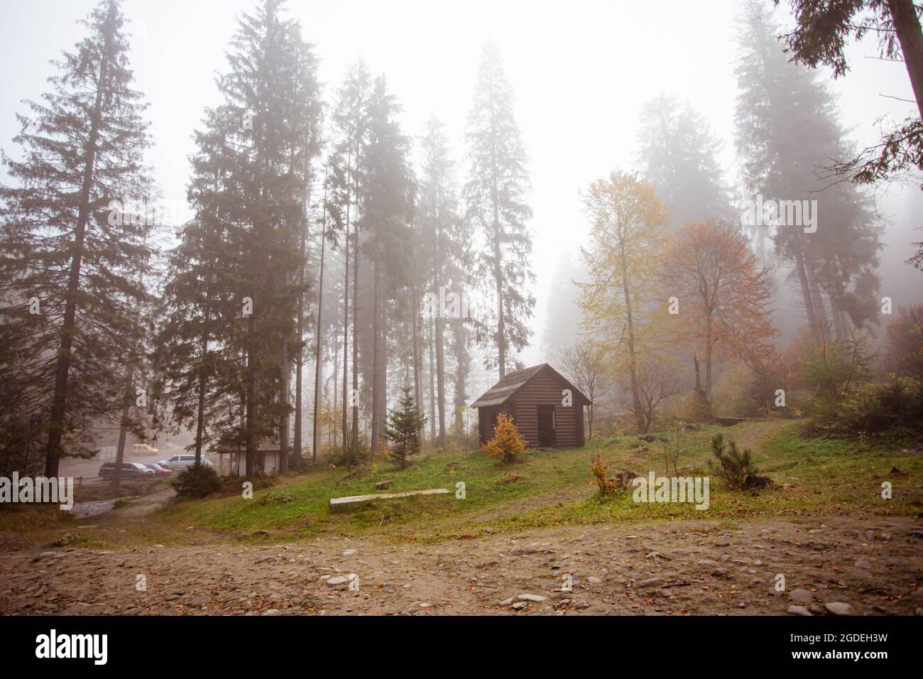 The small wooden house on the edge of the autumn forest Stock Photo - Alamy