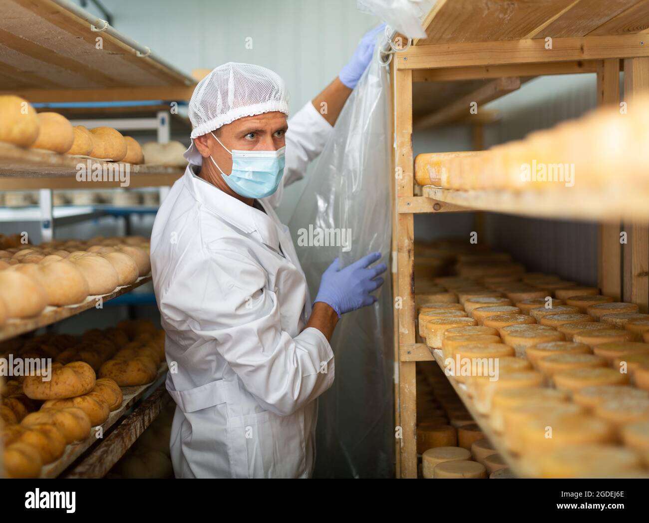 Maturation cheese french hires stock photography and images Alamy