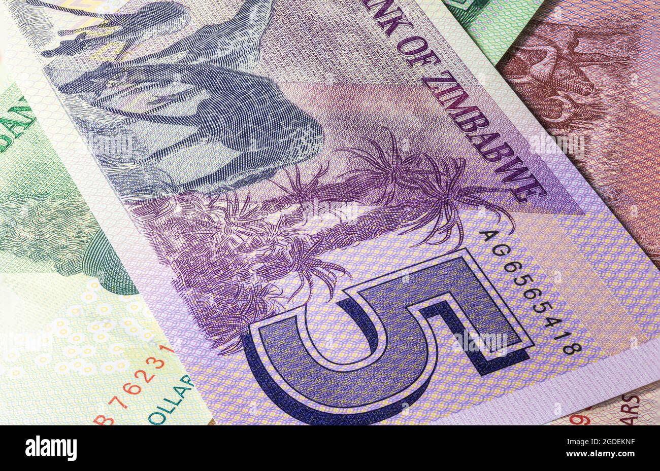 Close up to ten Dollars of the Republic of Zimbabwe. Paper banknotes of the African country. Detailed capture of the front art design. Detailed money Stock Photo