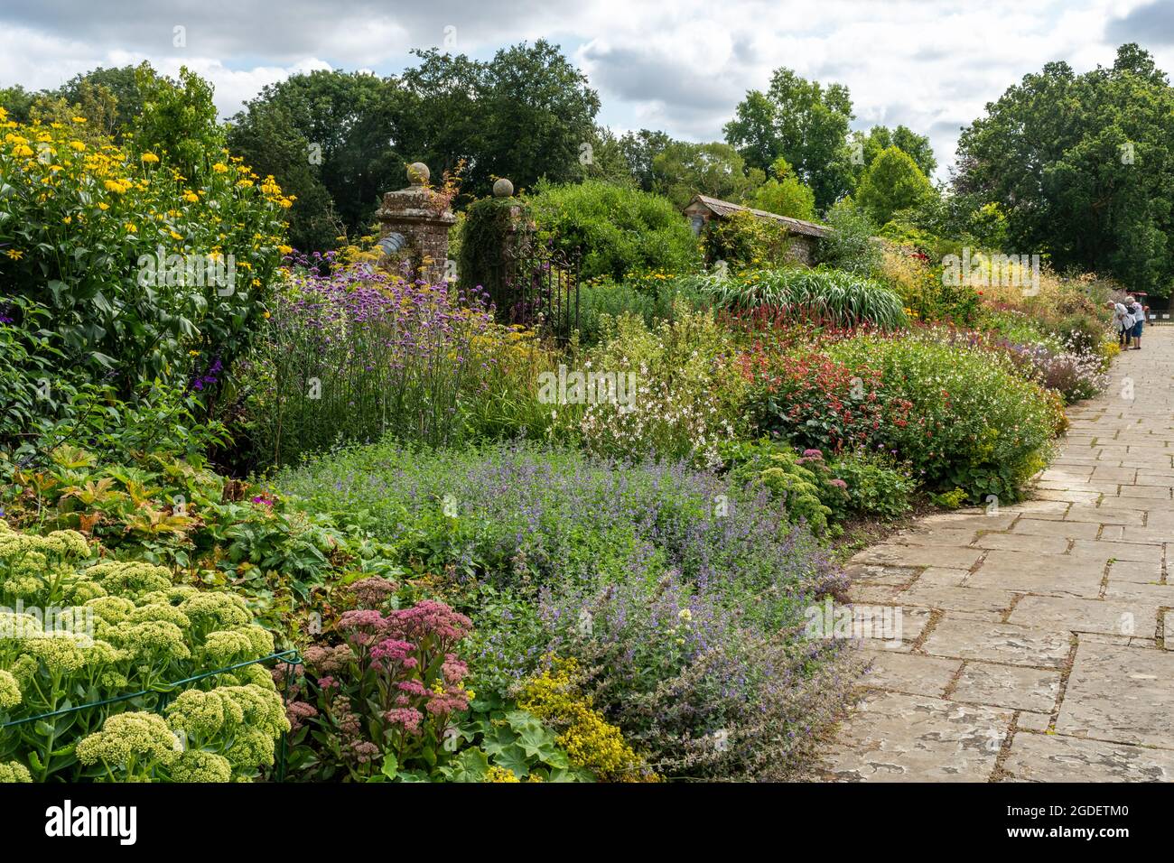 Herbaceous border plants hires stock photography and images Alamy