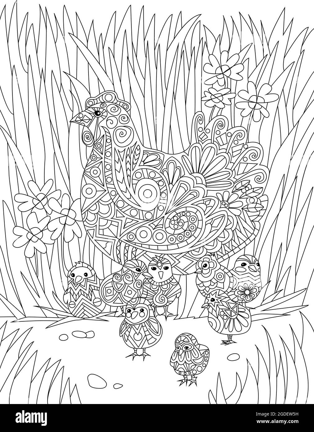 Chicken With Babies Resting In Tall Grass Colorless Line Drawings ...