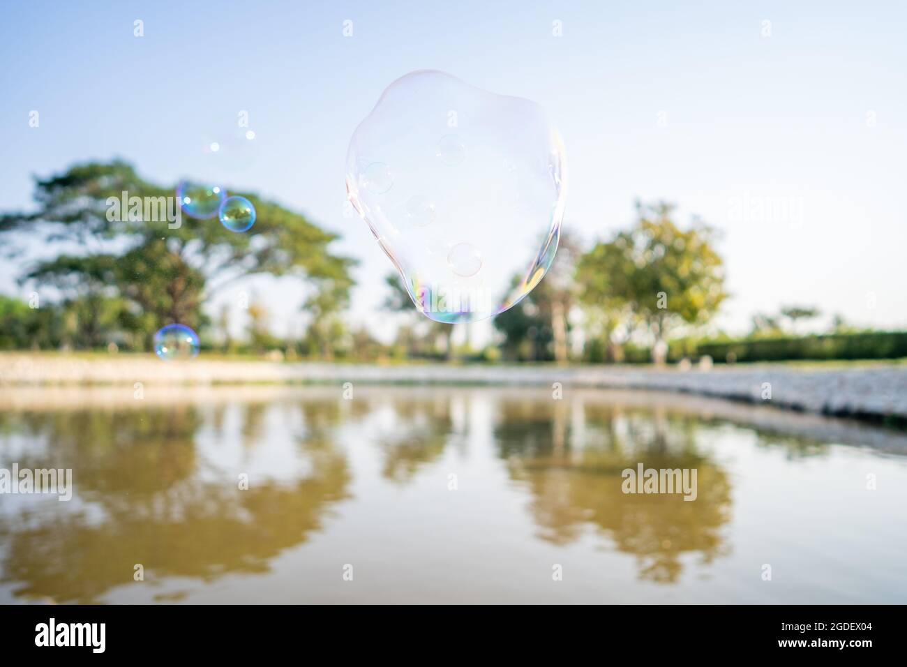Floating soap bubbles at the lake in a park Stock Photo - Alamy