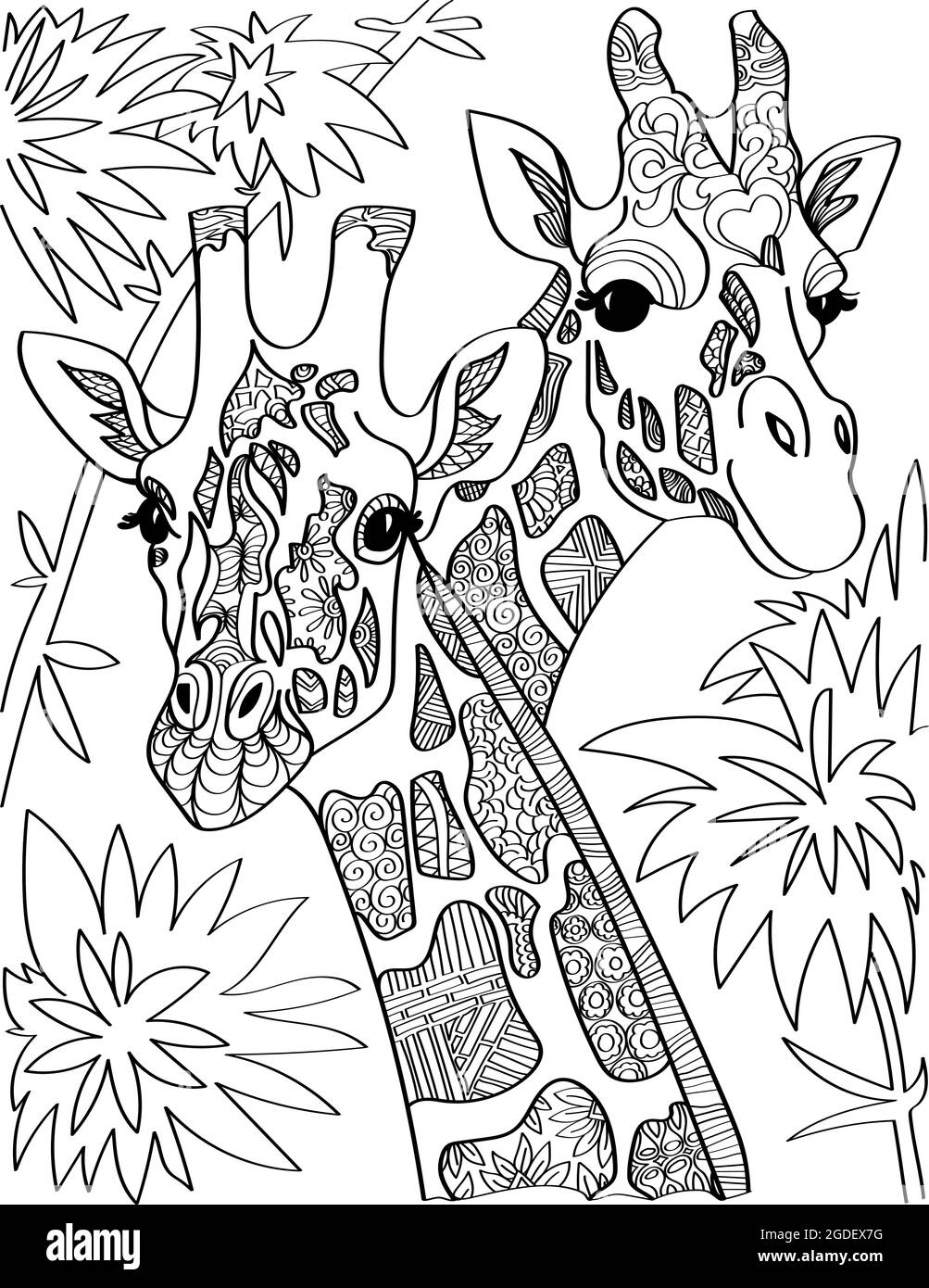 Two horned giraffe Stock Vector Images - Alamy