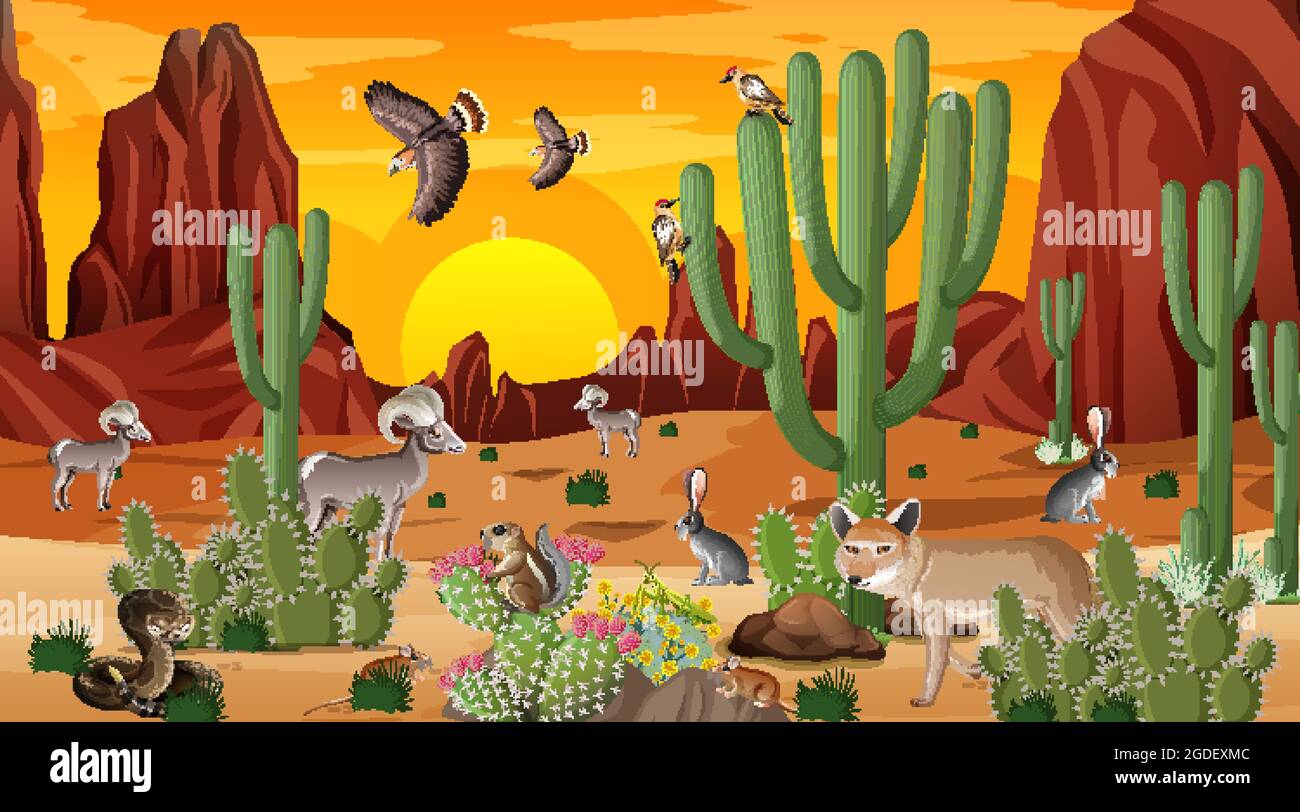 Desert forest landscape at sunset time scene with wild animals illustration Stock Vector