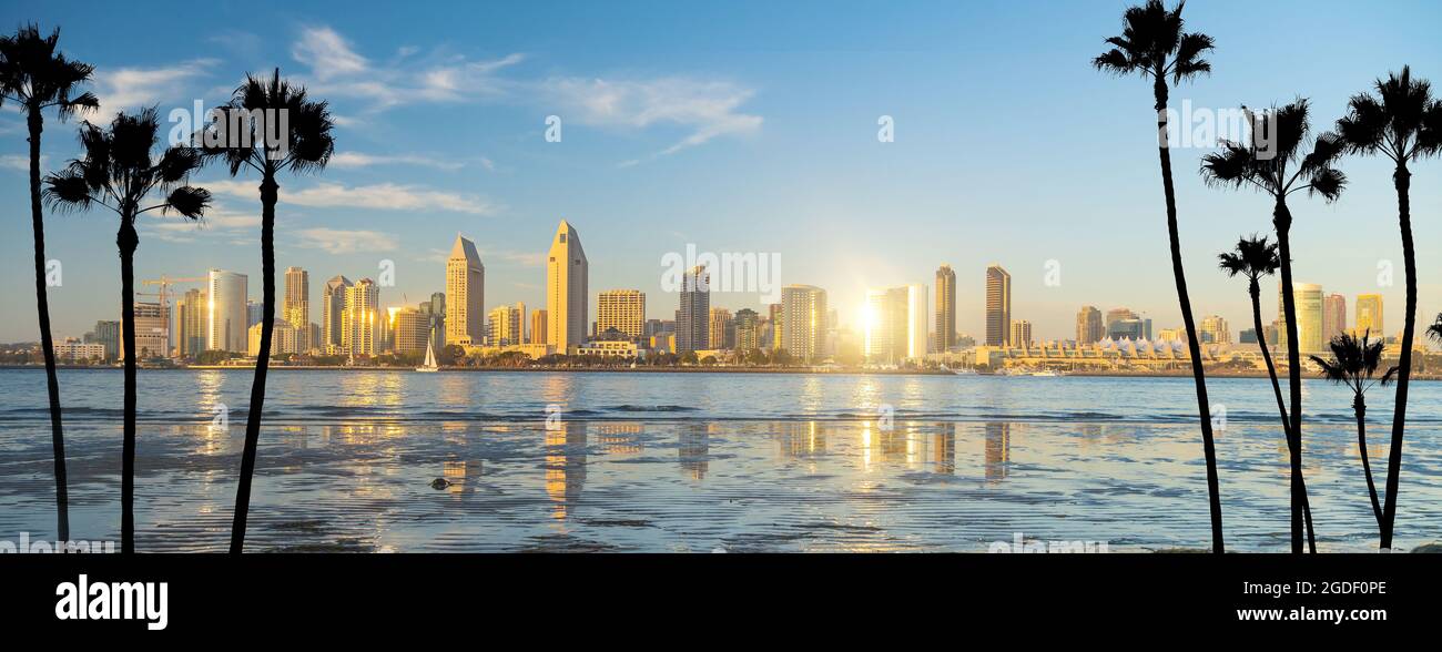 San diego skyline palm hi-res stock photography and images - Alamy