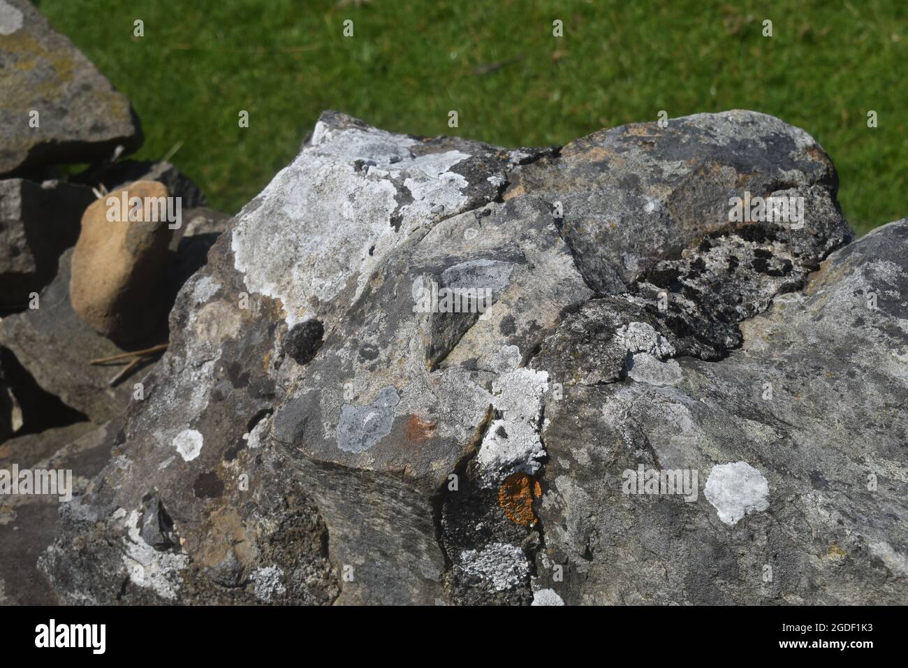 Lichen on a drystone wall Stock Photo
