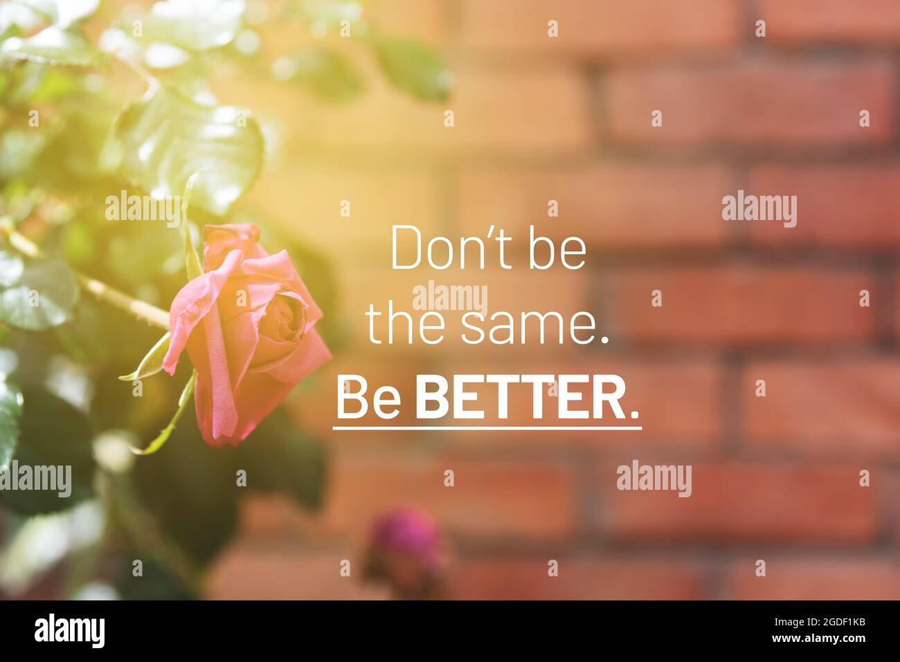 Quotes About Being Better Motivational And Inspirational Quotes - Don't Be The Same, Be Better Stock  Photo - Alamy