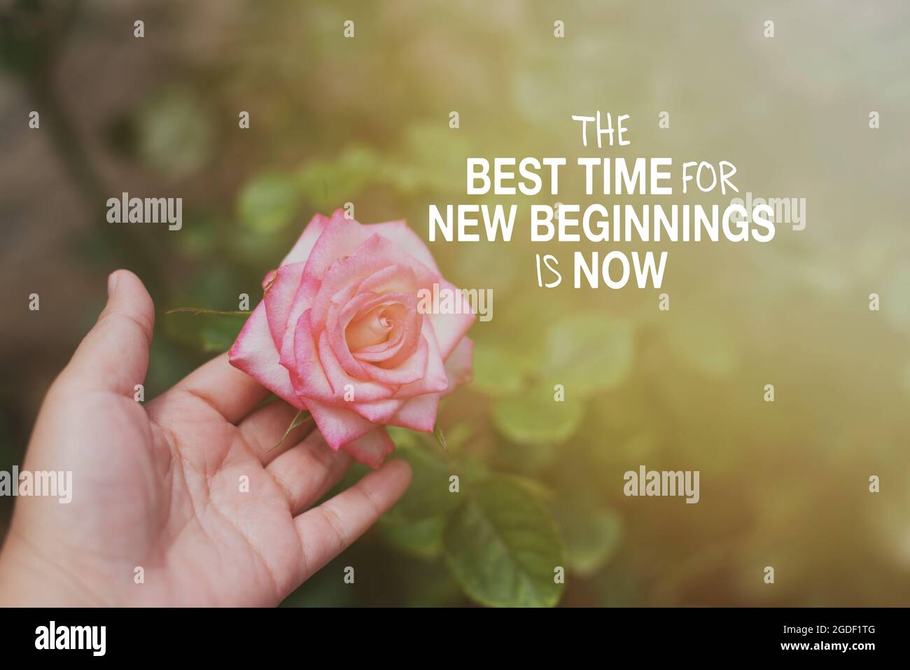 Motivational and Inspirational Quotes - The best time for new beginnings is now. Stock Photo