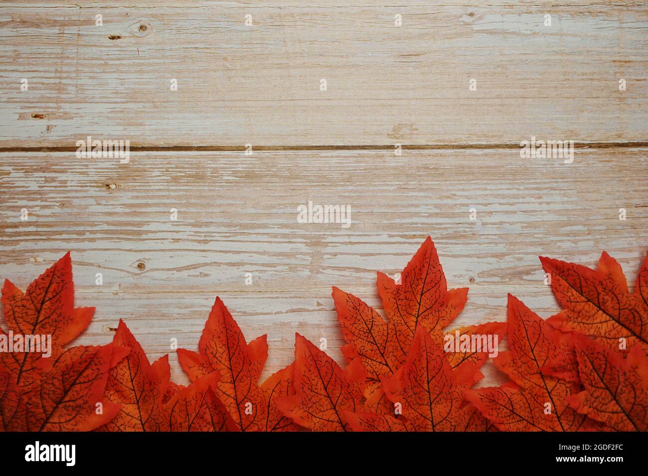Autumn leaves with space copy on wooden background Stock Photo - Alamy