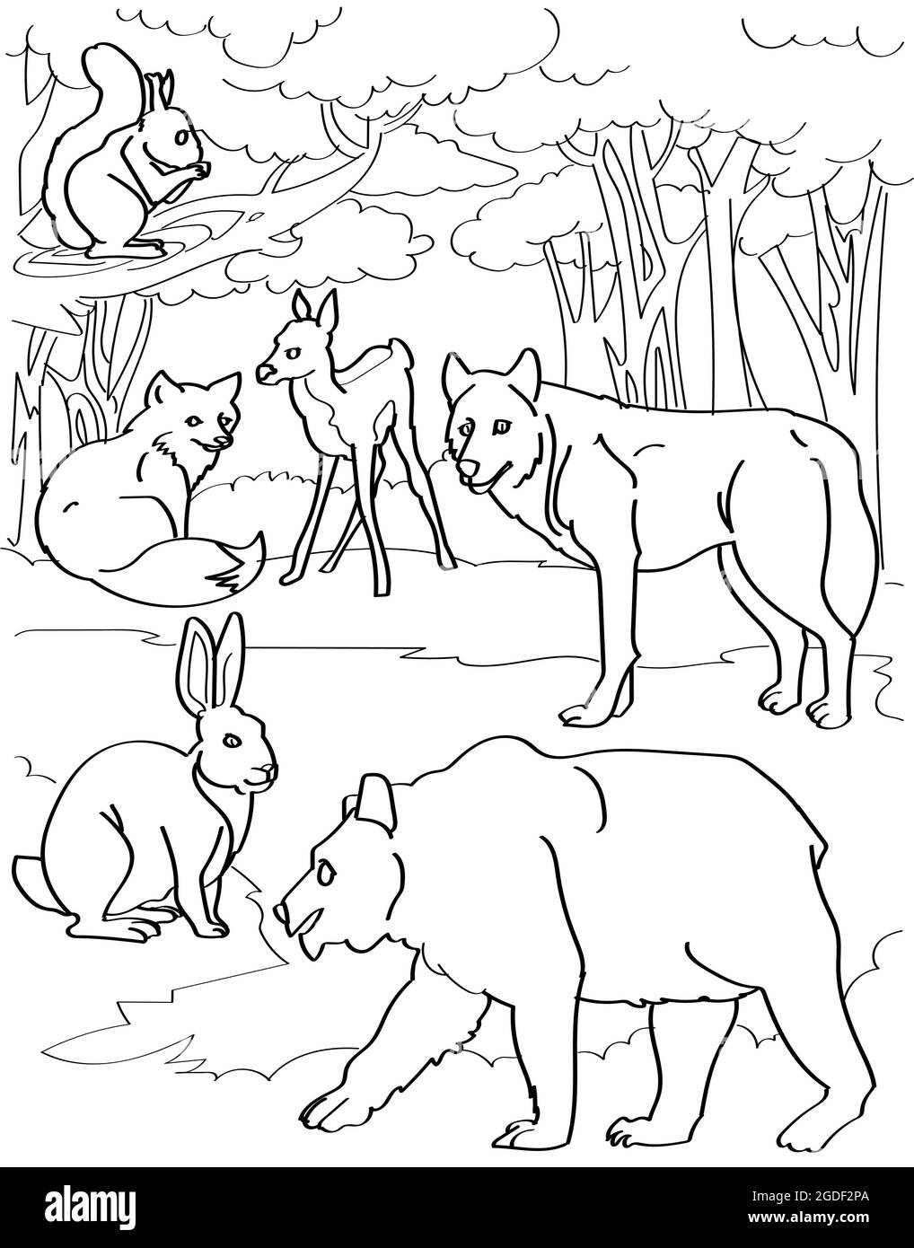 Different Forest Creatures Deer Fox Wolf Bear Rabbit With Tree Background  Line Drawing. Multiple Wild Animals In Jungle Backdrop Coloring Book Page  Stock Vector Image & Art - Alamy