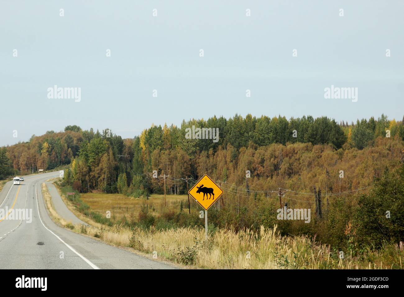 Moose crossing sign, street, Alaska, USA. Stock Photo