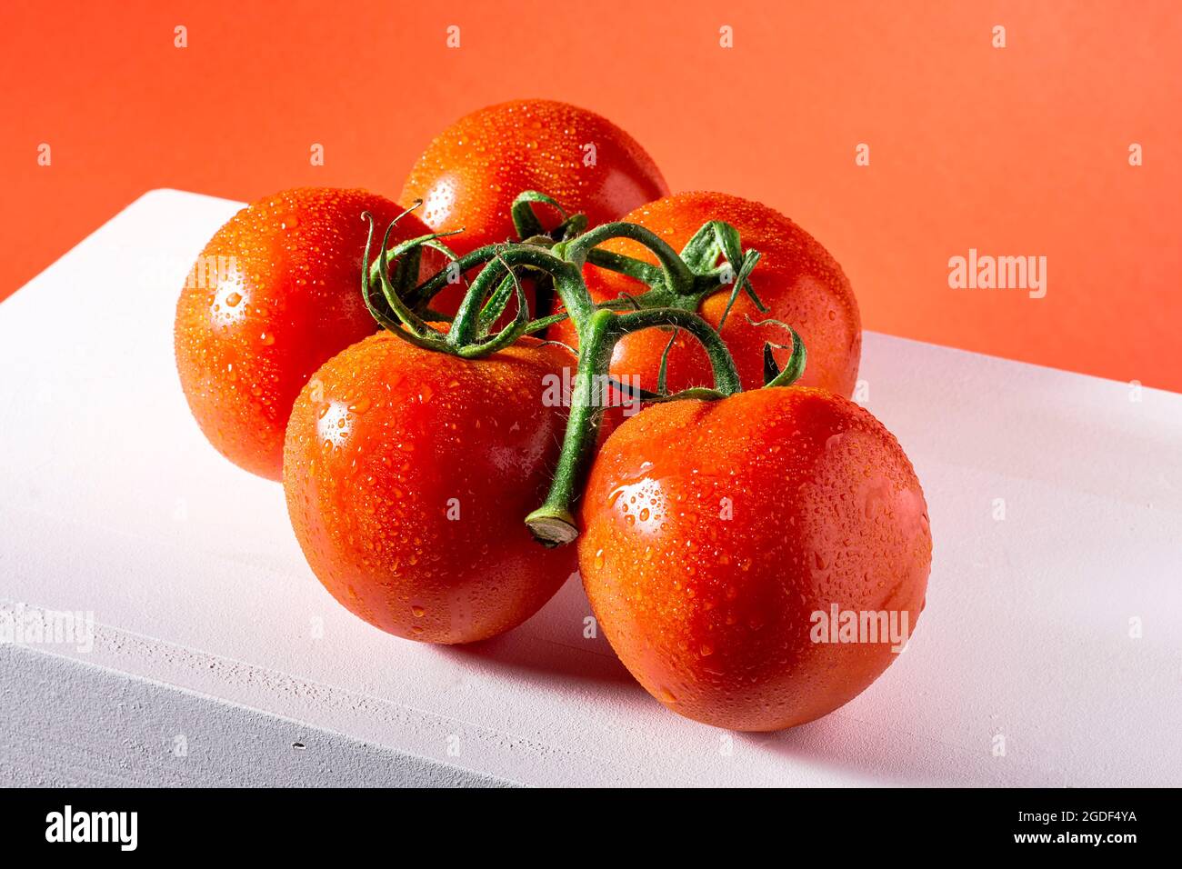 Photograph of a branch of five wet natural tomatoes on a white table and a red background.The photo is taken in horizontal format. Stock Photo
