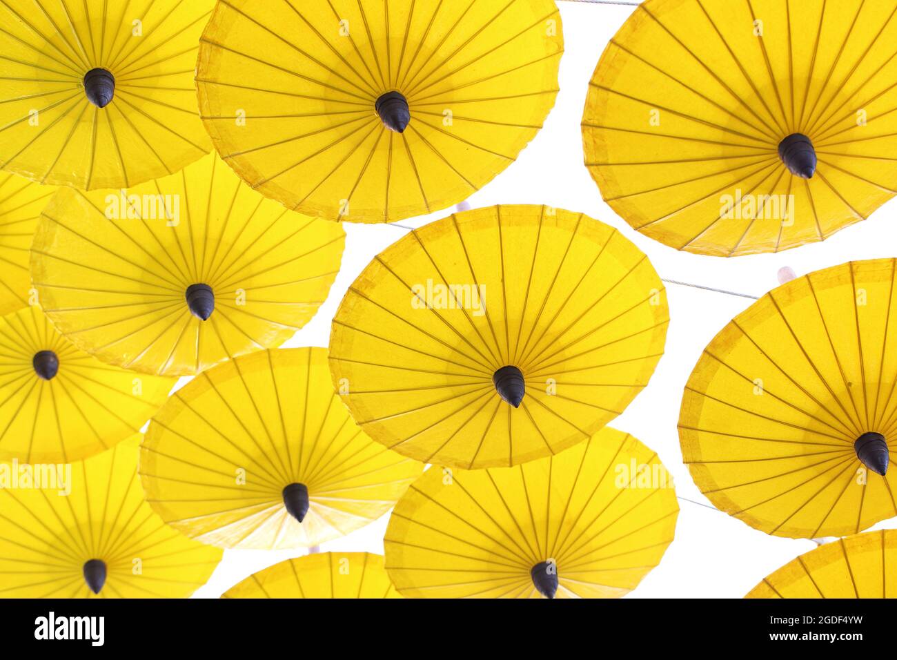 Yellow Umbrella pattern on white background Stock Photo - Alamy