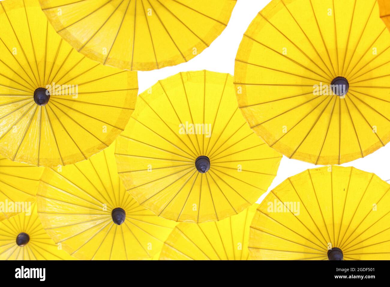 Yellow Umbrella pattern on white background Stock Photo - Alamy