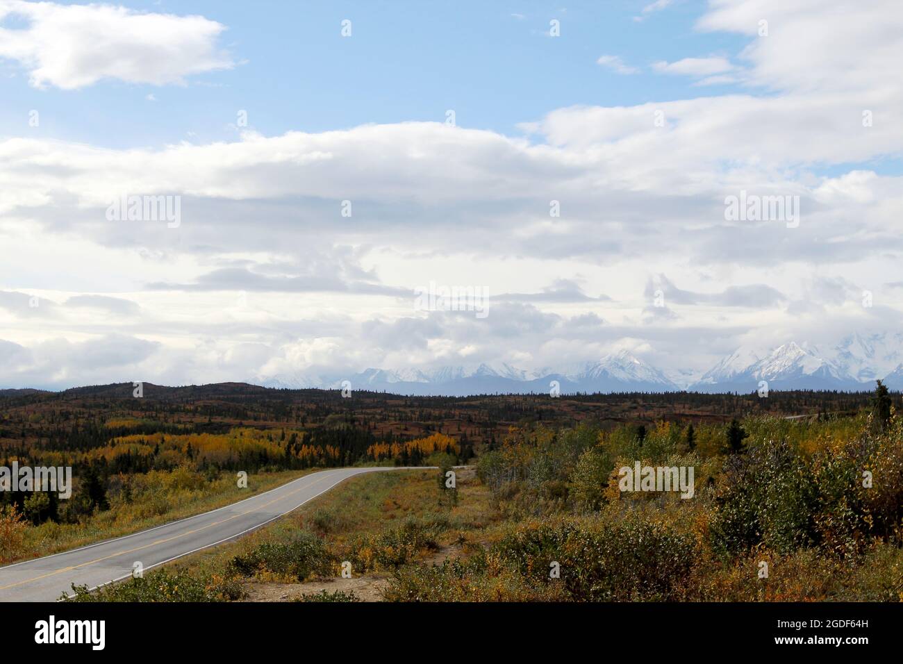 Leere Hauptverkehrsstraße ohne Poller, ohne Beleuchtung, mit begrünten Straßenrändern, Gräsern, Büschen und Bäumen, mit Berg in Alaska, USA. Stock Photo