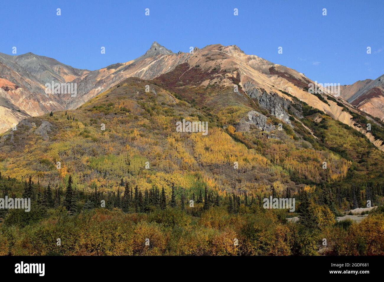 Berge mit grünen und gelb gefärbten Bäumen inmitten von Alaska bei Sutton Alpine, USA. Stock Photo