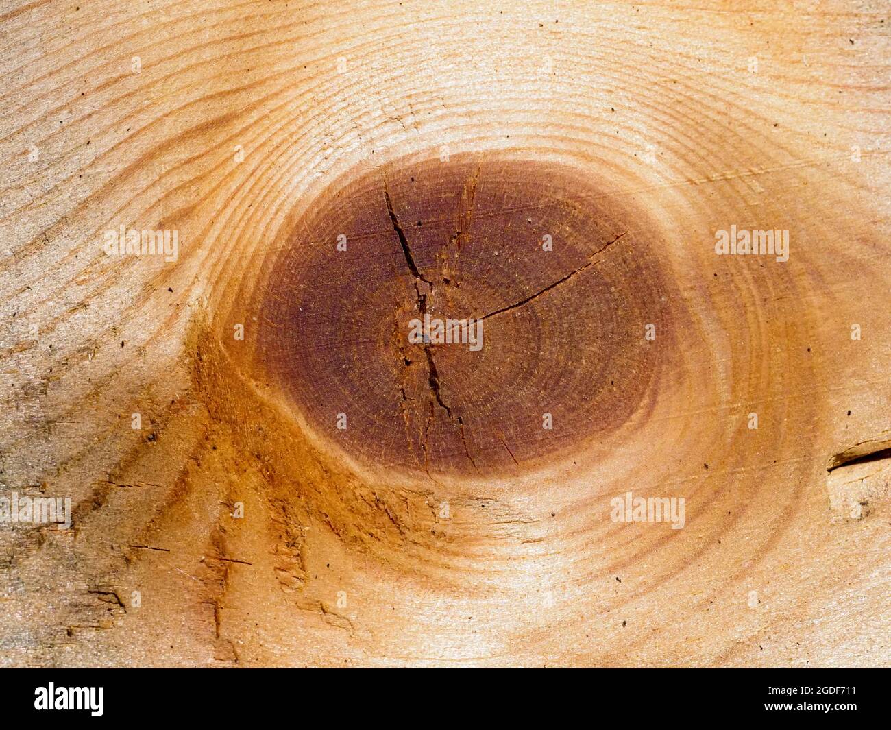 Knot in wood hires stock photography and images Alamy