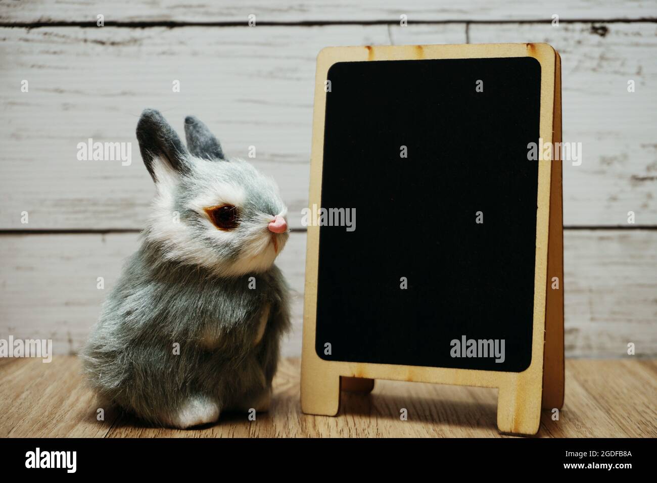 happy easter with bunny rabbit and space copy wooden easel background ...