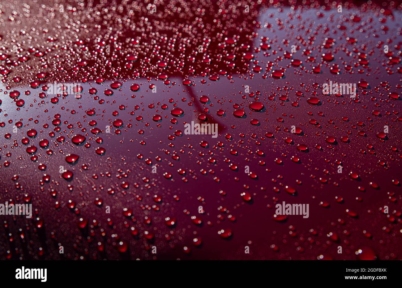 Hydrophobic water effect on red car paint after rain Stock Photo Alamy