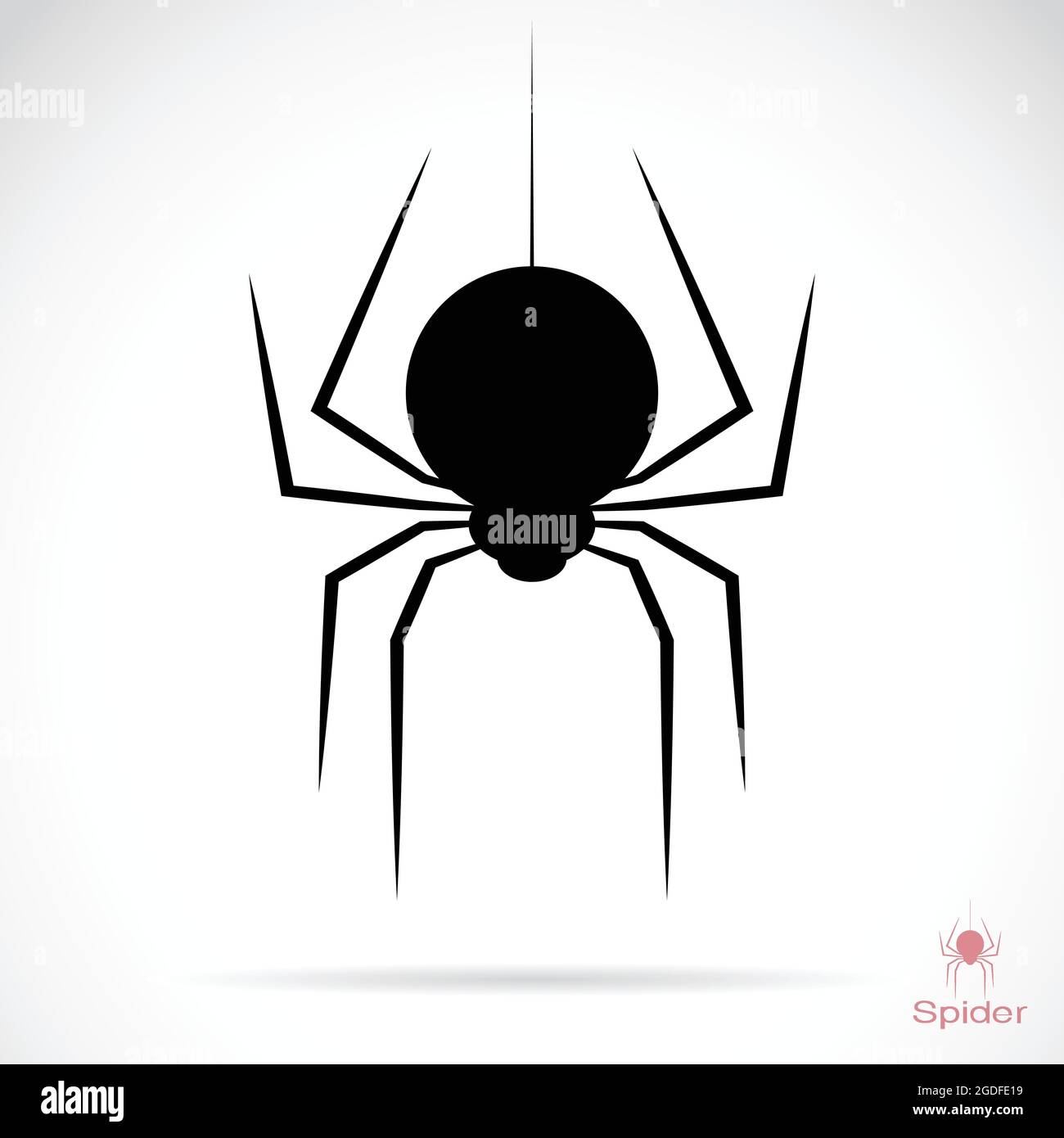 Vector image of spider on white background. Easy editable layered vector illustration. Wild Animals. Stock Vector