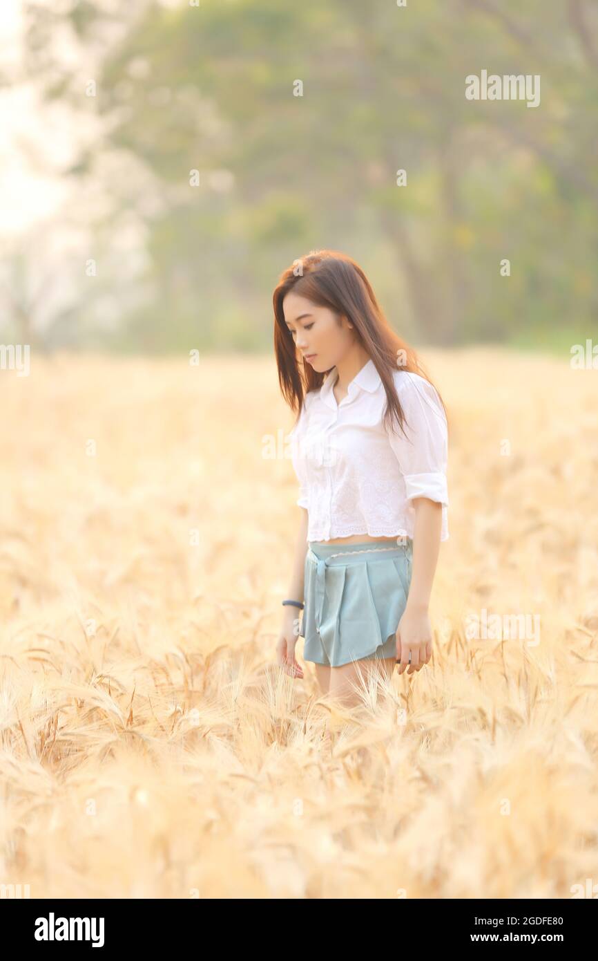 Asian girl on wheat field Stock Photo - Alamy