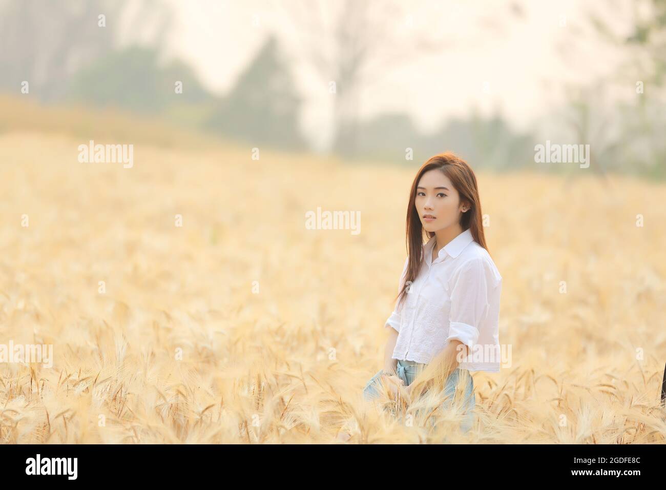 Asian girl on wheat field Stock Photo - Alamy
