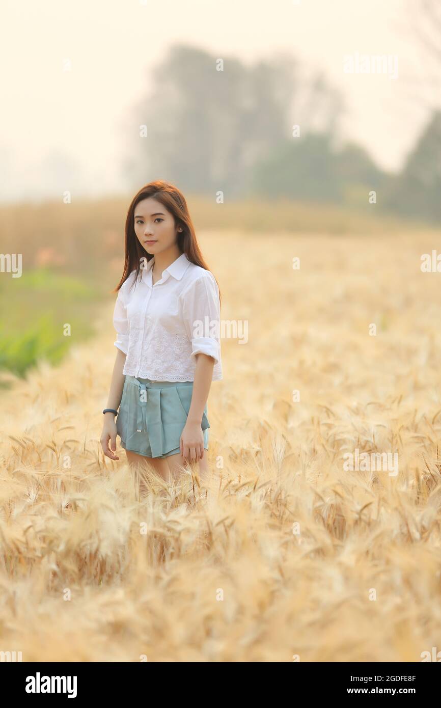 Asian girl on wheat field Stock Photo - Alamy