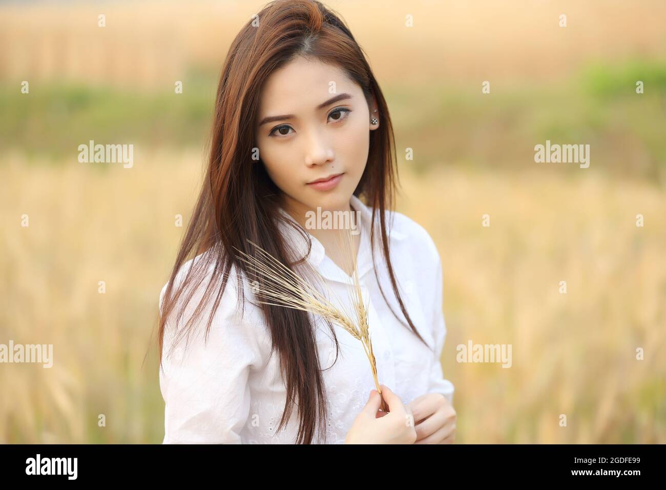 Asian girl on wheat field Stock Photo - Alamy