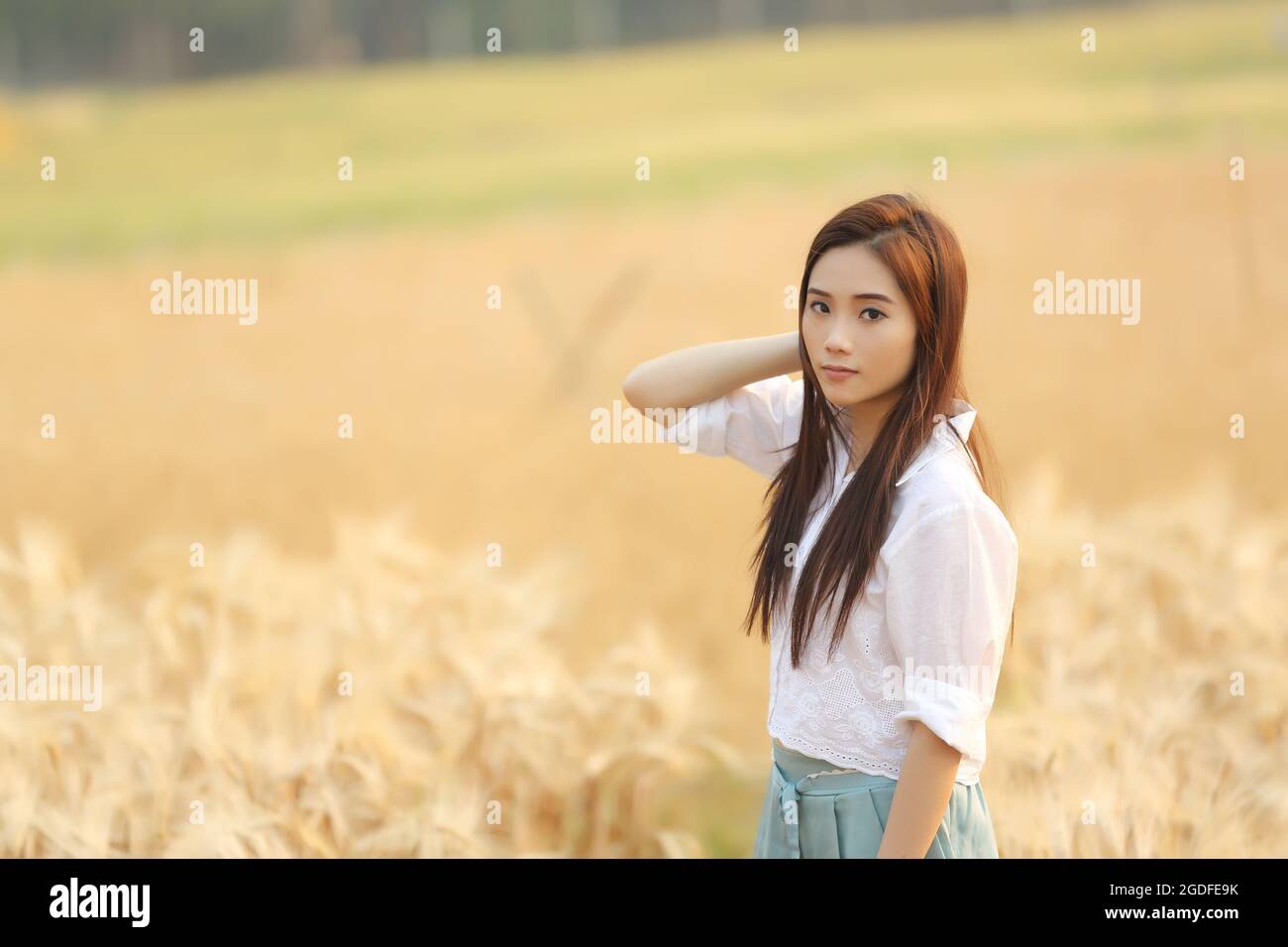 Asian girl on wheat field Stock Photo - Alamy
