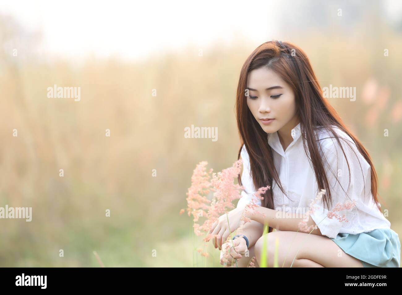 Asian girl on wheat field Stock Photo - Alamy