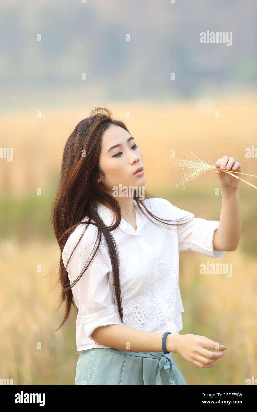Asian girl on wheat field Stock Photo - Alamy