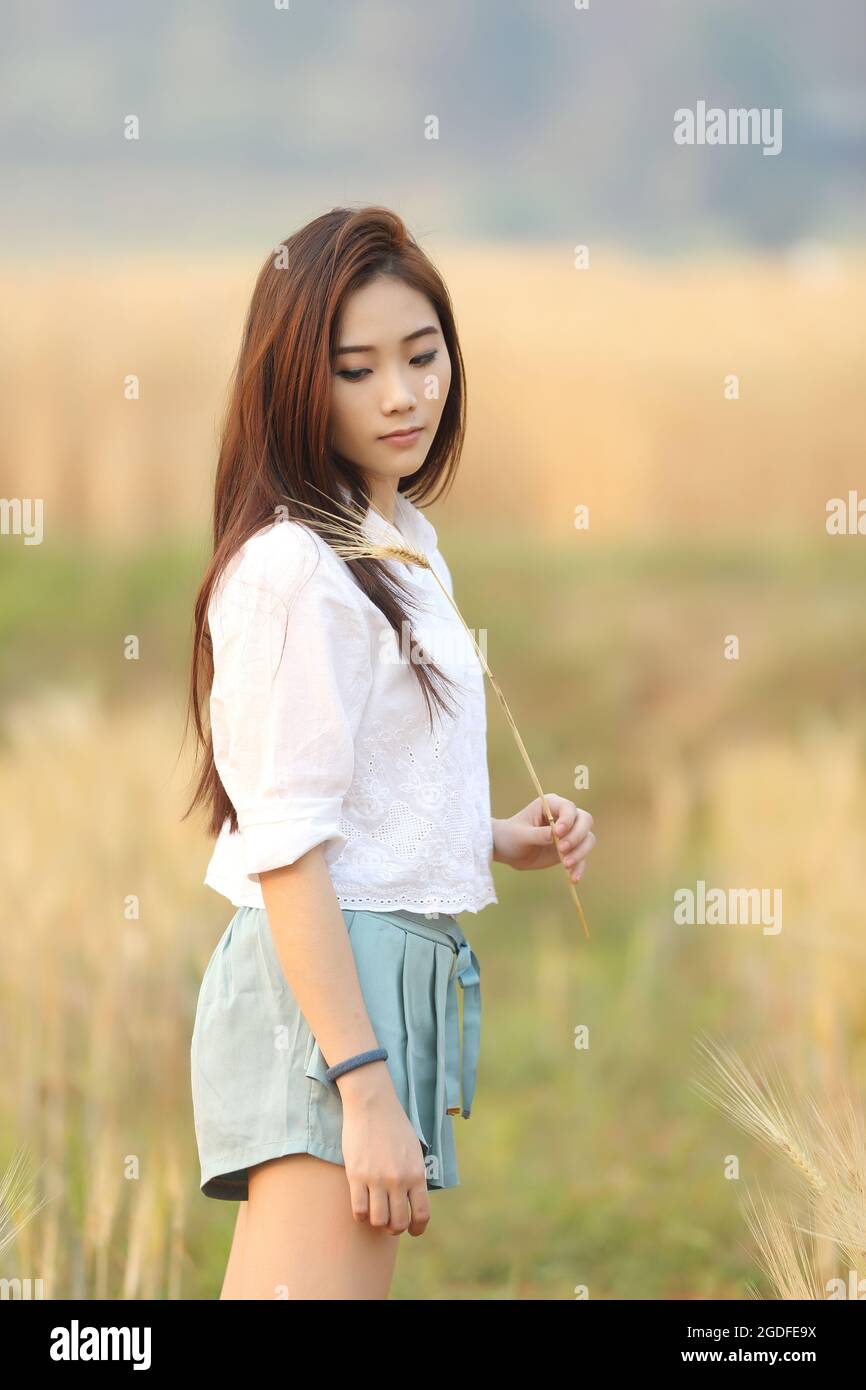 Asian girl on wheat field Stock Photo - Alamy