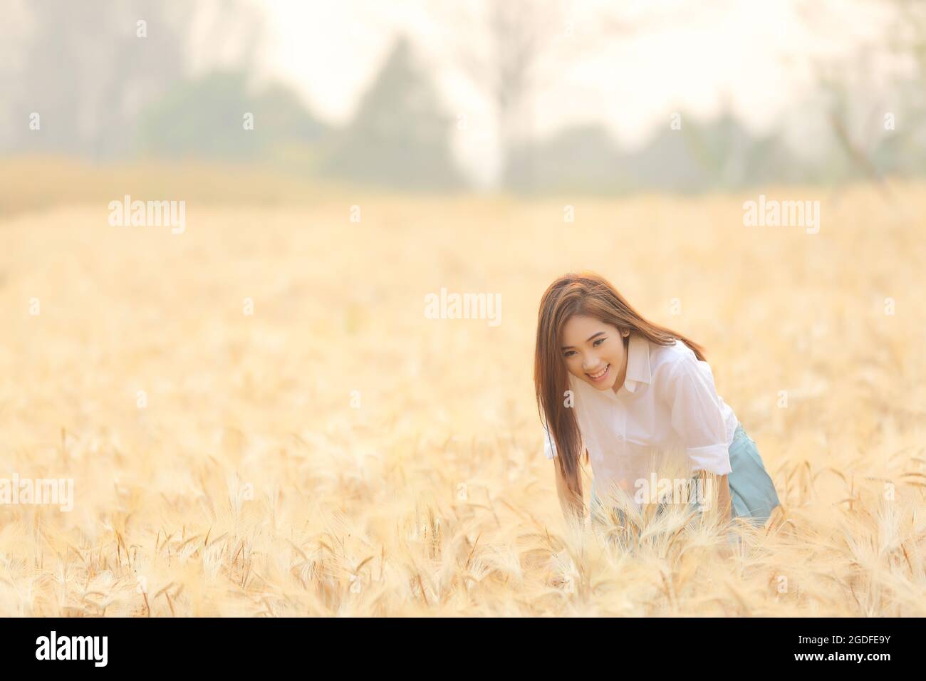 Asian girl on wheat field Stock Photo - Alamy