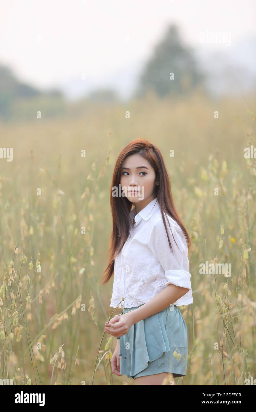 Asian girl on wheat field Stock Photo - Alamy