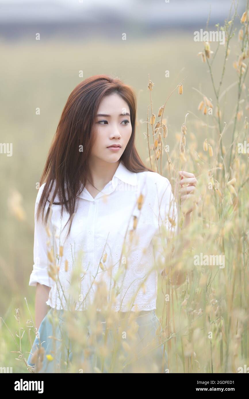 Asian girl on wheat field Stock Photo - Alamy