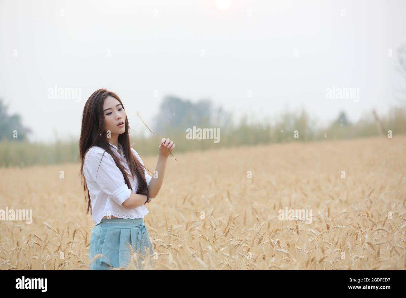 Asian girl on wheat field Stock Photo - Alamy