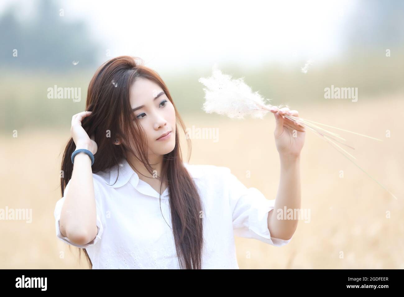 Asian girl on wheat field Stock Photo - Alamy