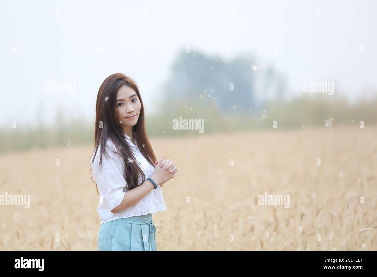 Asian girl on wheat field Stock Photo - Alamy
