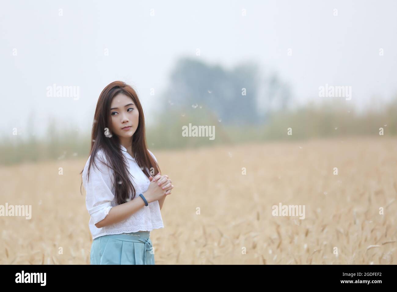 Asian girl on wheat field Stock Photo - Alamy