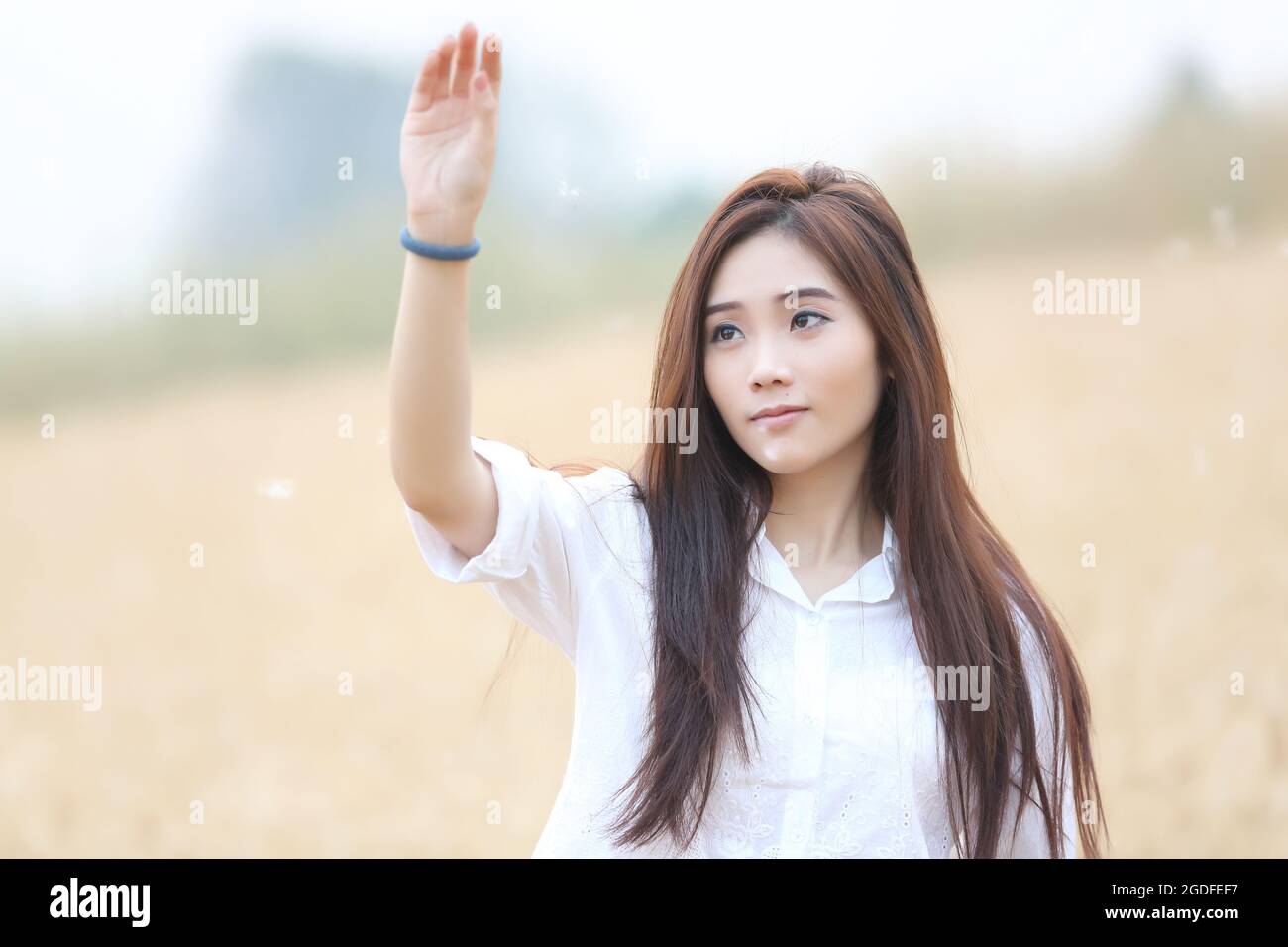 Asian girl on wheat field Stock Photo - Alamy