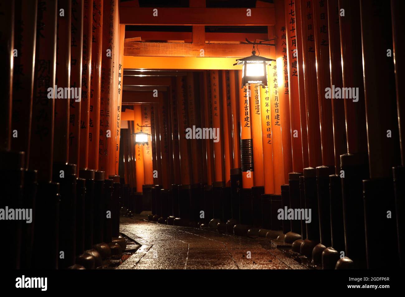 Tori gates in Fushimi Inari Shrine at night with selective focus and ...